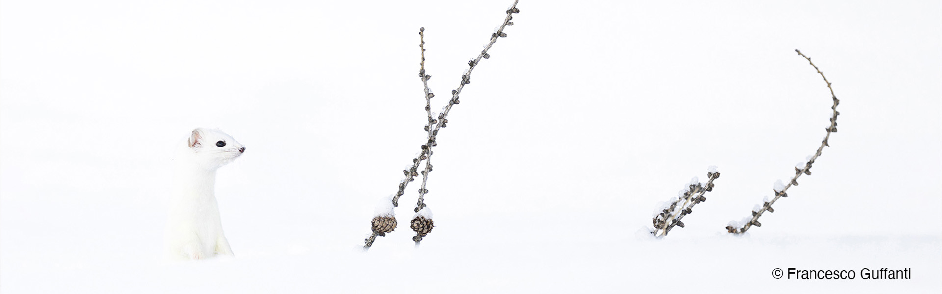 Francesco_Guffanti_B1_Ephemeral_symmetry copia.jpg